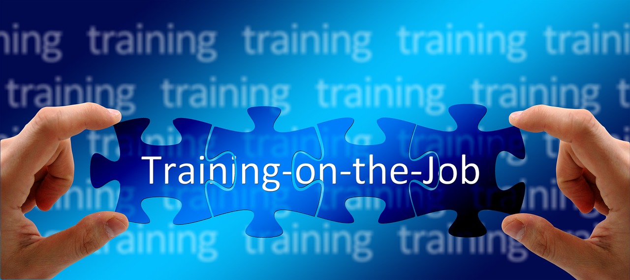 training, vocational training, to learn-1848682.jpg